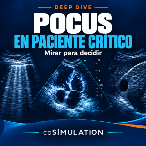 Plaza Deep Dive: POCUS en paciente crítico, mirar para decidir.